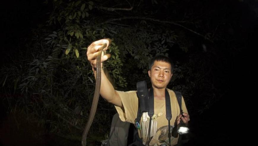 央视评甲亢哥中国行,澳门资料王中王资料大全枓大全王中王,最新热门解答落实_免费版V11.22