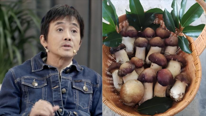 黄大仙78345心水救世报,T1夺冠数据图,机构预测与落实方法揭秘_定制版V10.25