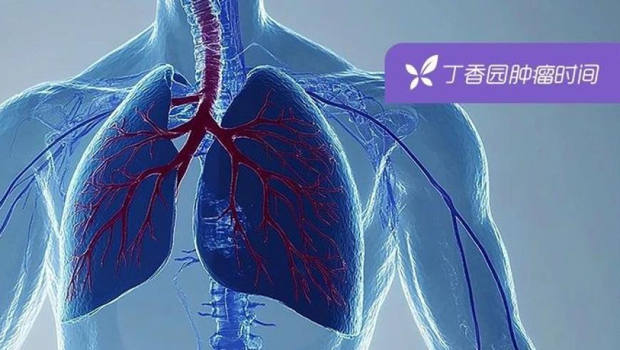 一女子看完哪吒后网购土拨鼠,2025澳门今晚开奖结果历史查询表,经典解释落实_标配版V5.52