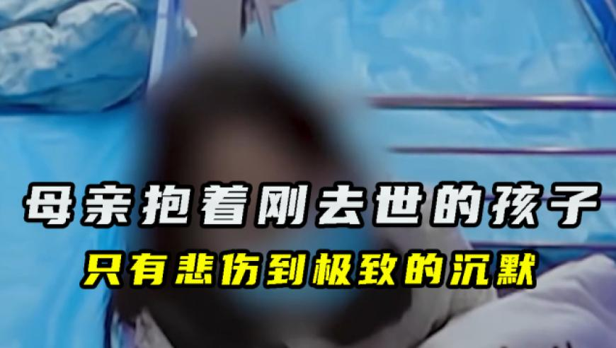 管家婆一码一肖100中奖叶子楣,这首爱哎唉太上头了,动态词语解释落实_AR版V15.72
