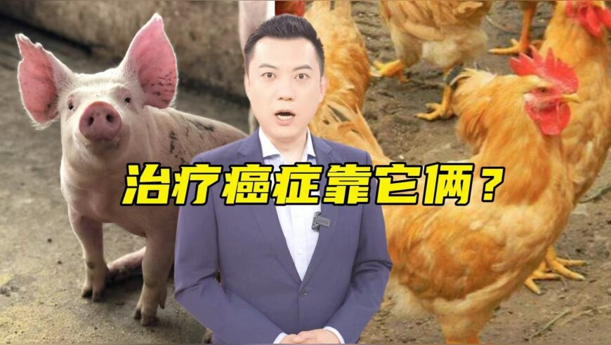 张嘉元说刘梓晨来这干啥,308二四六玄机资料大全官方版,详细释义解释落实_交互版V7.85