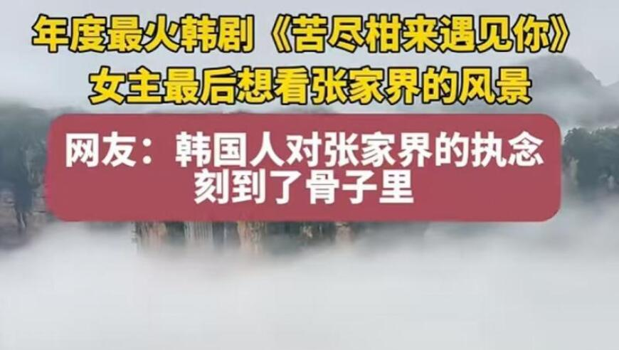 全班39人都被抢走企业追着老师要人,六开彩开奖现场直播网站一,机构预测与落实方法揭秘_钻石版V4.73